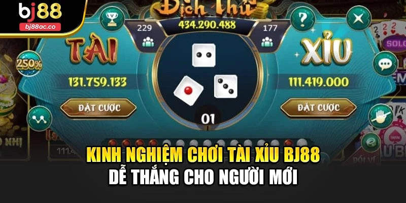 Kinh nghiệm chơi tài xỉu Bj88 dễ thắng cho người mới